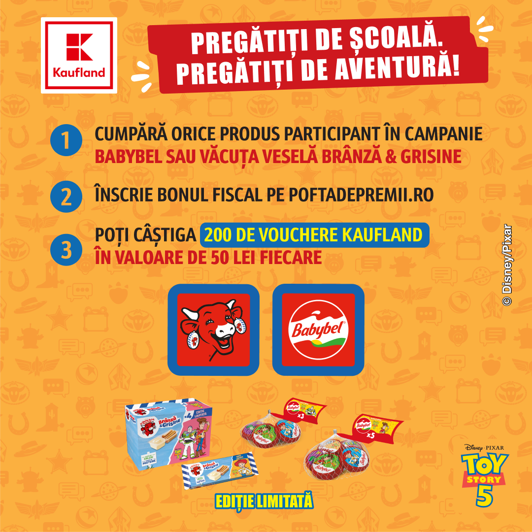 Mecanism campanie